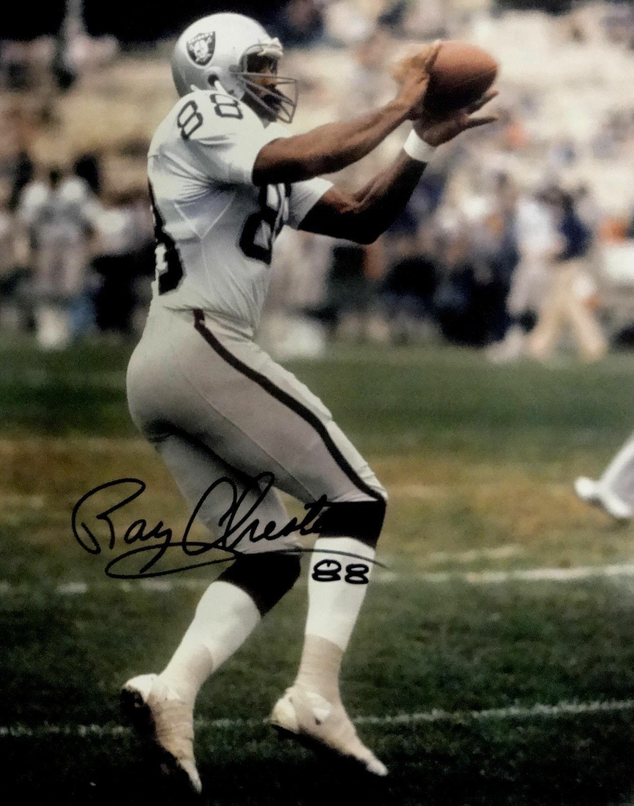 Raymond Chester Signed Autographed 16x20 Photo Poster painting Raiders Catching W/ COA Raiders