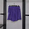 2025/2026 Player Version Liverpool Purple Shorts 1:1 Thai Quality
