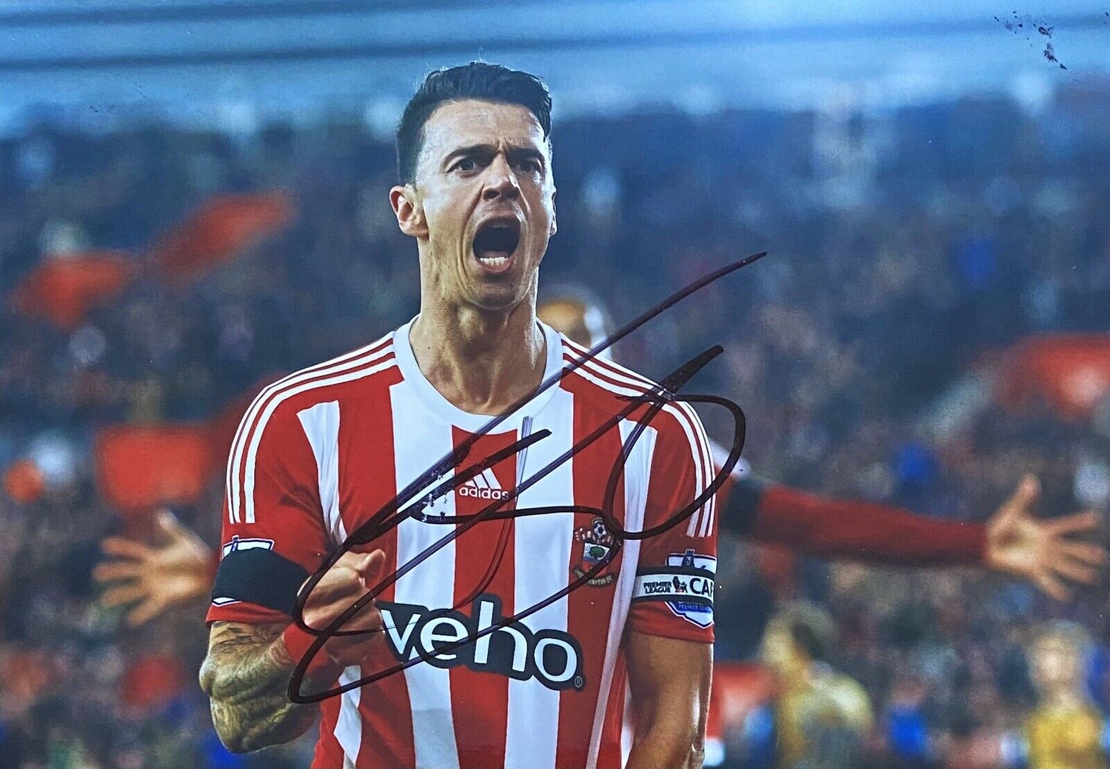 Jose Fonte Genuine Hand Signed Southampton 6X4 Photo Poster painting 6