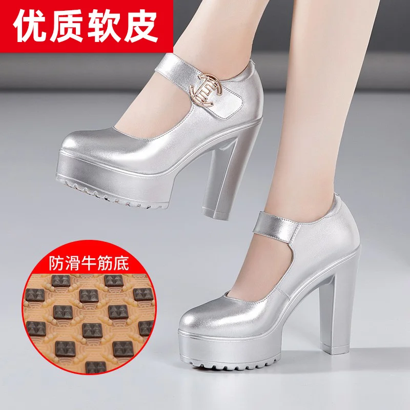 Breakj High Heel 12Cm Cheongsam Model Catwalk Shoes Women's Thick Soles Waterproof Platform Silver Round Head Stage Performance Shoes Women's Singles Shoes