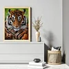 (Big Size)Tiger - 11CT Stamped Cross Stitch - 45*60cm - Animal
