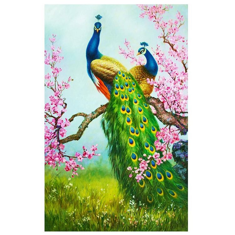 Peacock - Diamond Painting - 30x48cm(Canvas)