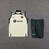 2023/2024 Barcelona Sleeveless Training Wear  Football Shirt 1:1 Thai Quality love fball