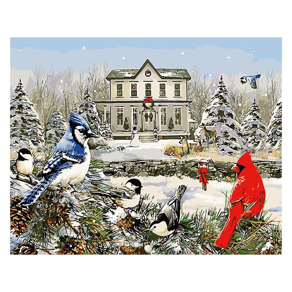 

40*50CM Paint By Numbers-Snow Bird, 501 Original