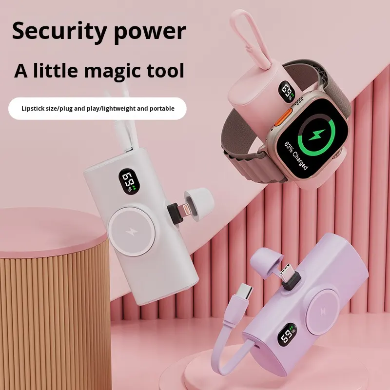 Power Bank