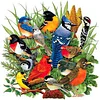 Birds Gathering-Full Round Diamond Painting 