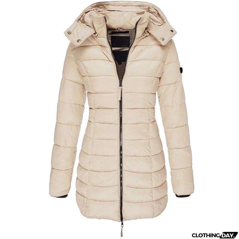 Timeless and Stylish Jacket