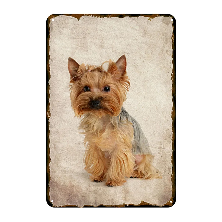 Dog - Yorkie Vintage Tin Signs/Wooden Signs - 7.9x11.8in & 11.8x15.7in