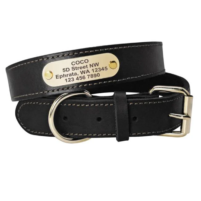 Leather Personalized Dog Collar (Pet's Name+Address+Phone Number)