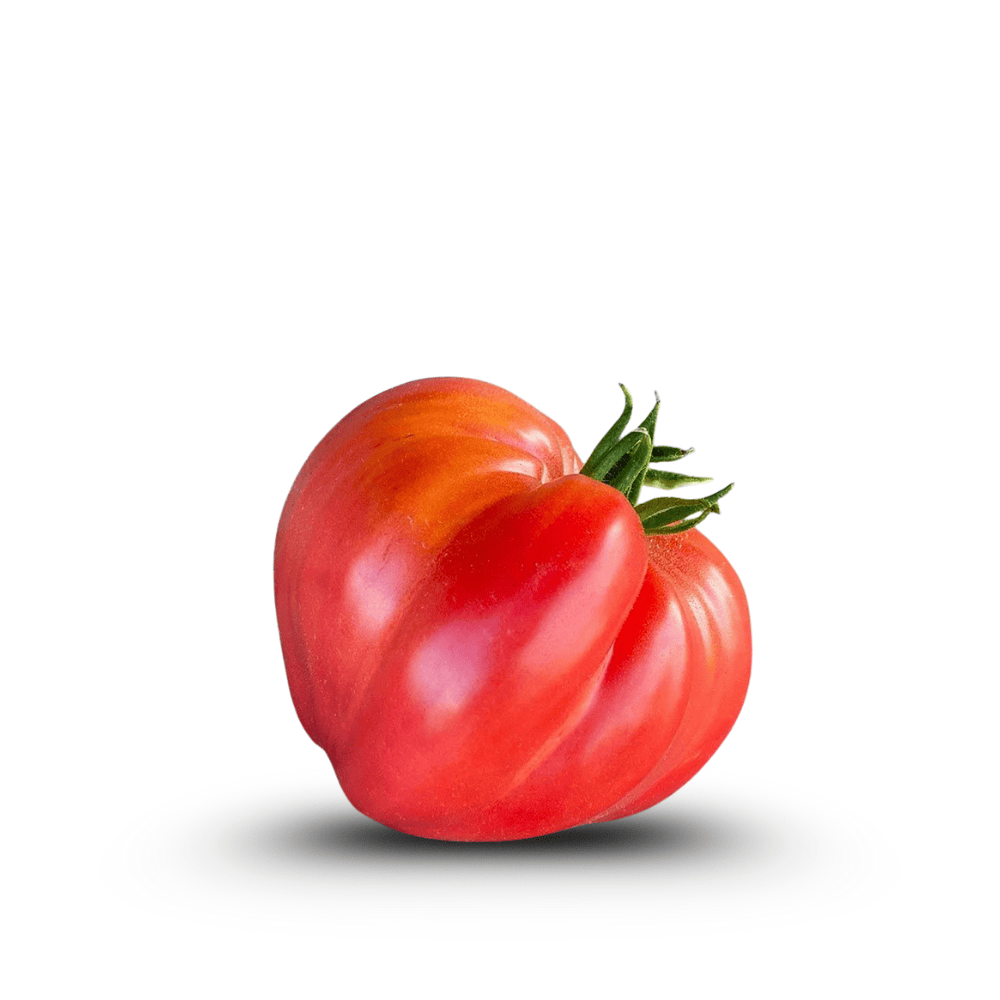 Heirloom Tomato Seeds &ndash; OX Heart - Giant Beefsteak