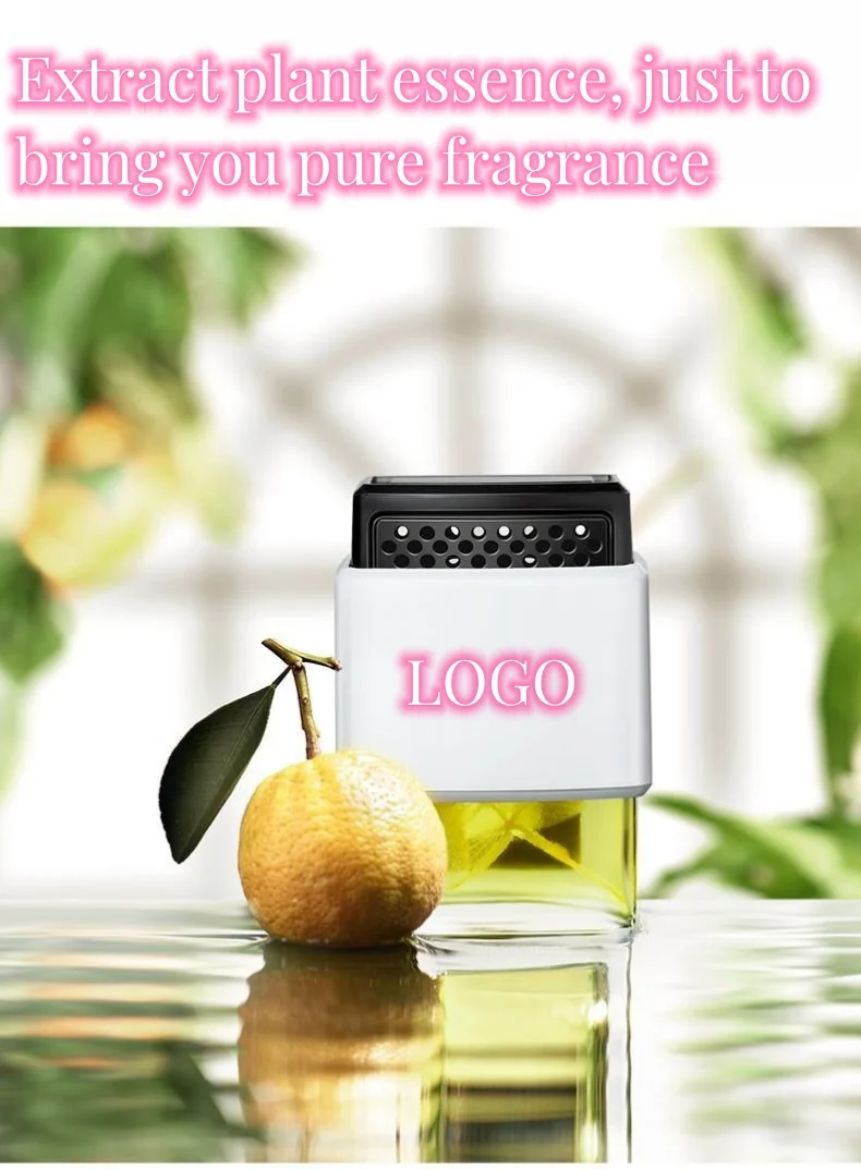 Vehicle-mounted car logo air outlet plant essential oil aromatherapy device