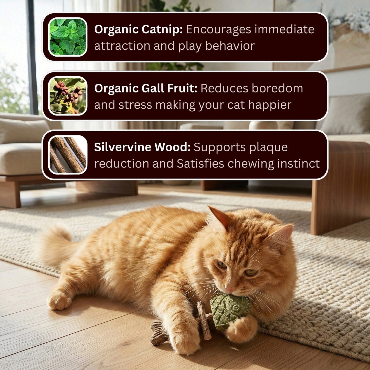 Cat enjoying the chew toy