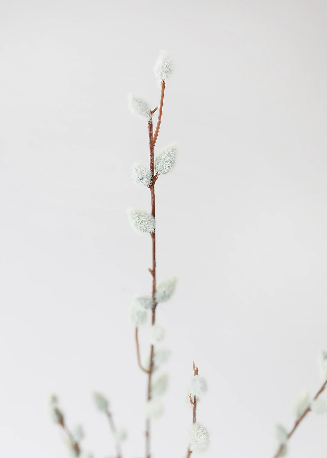 Artificial Pussy Willow Branch - 31"