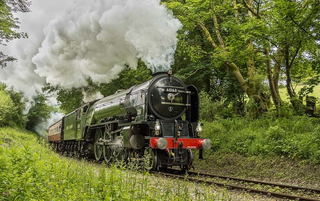 Steam Train Locomotive 60163 Tornado 12x8 inch print picture