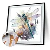 (US Local)Dragonfly-Paint By Numbers Kit(40x40cm)