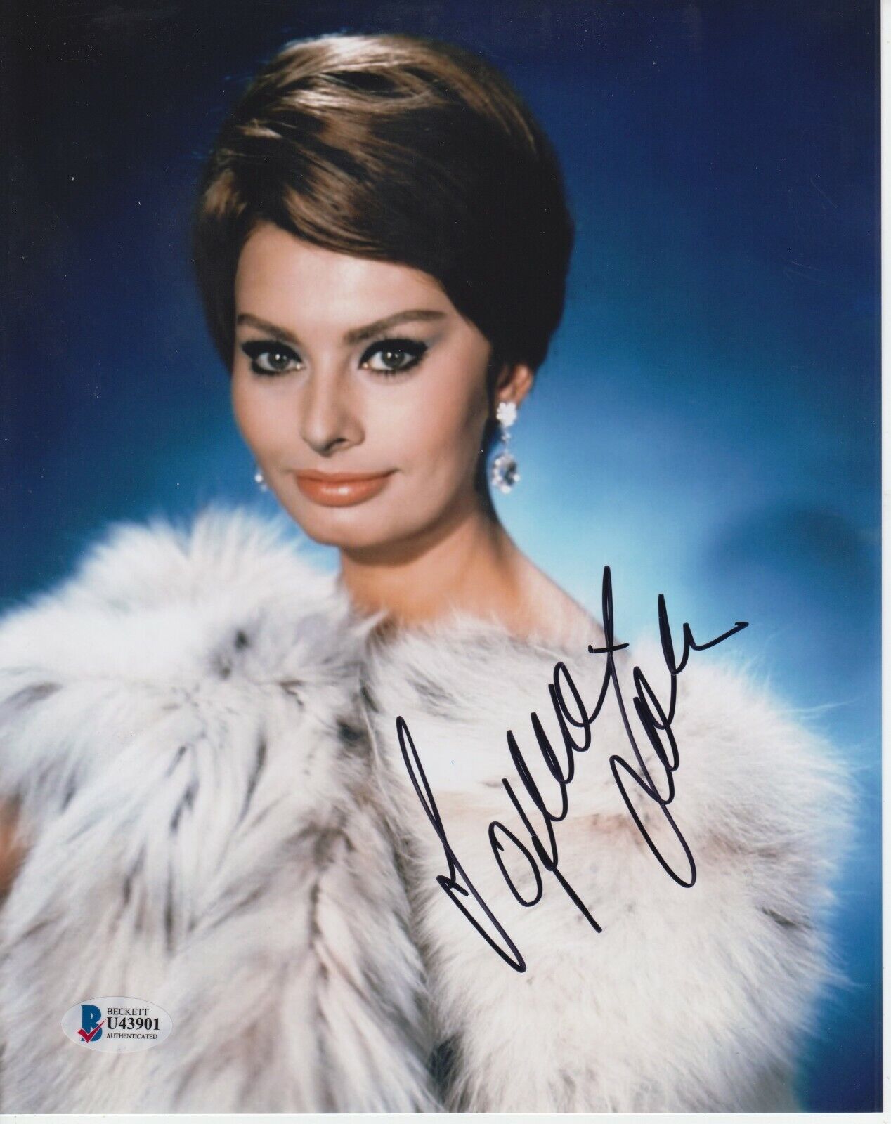 SOPHIA LOREN SIGNED 8X10 Photo Poster painting BECKETT CERTIFIED POSE 6