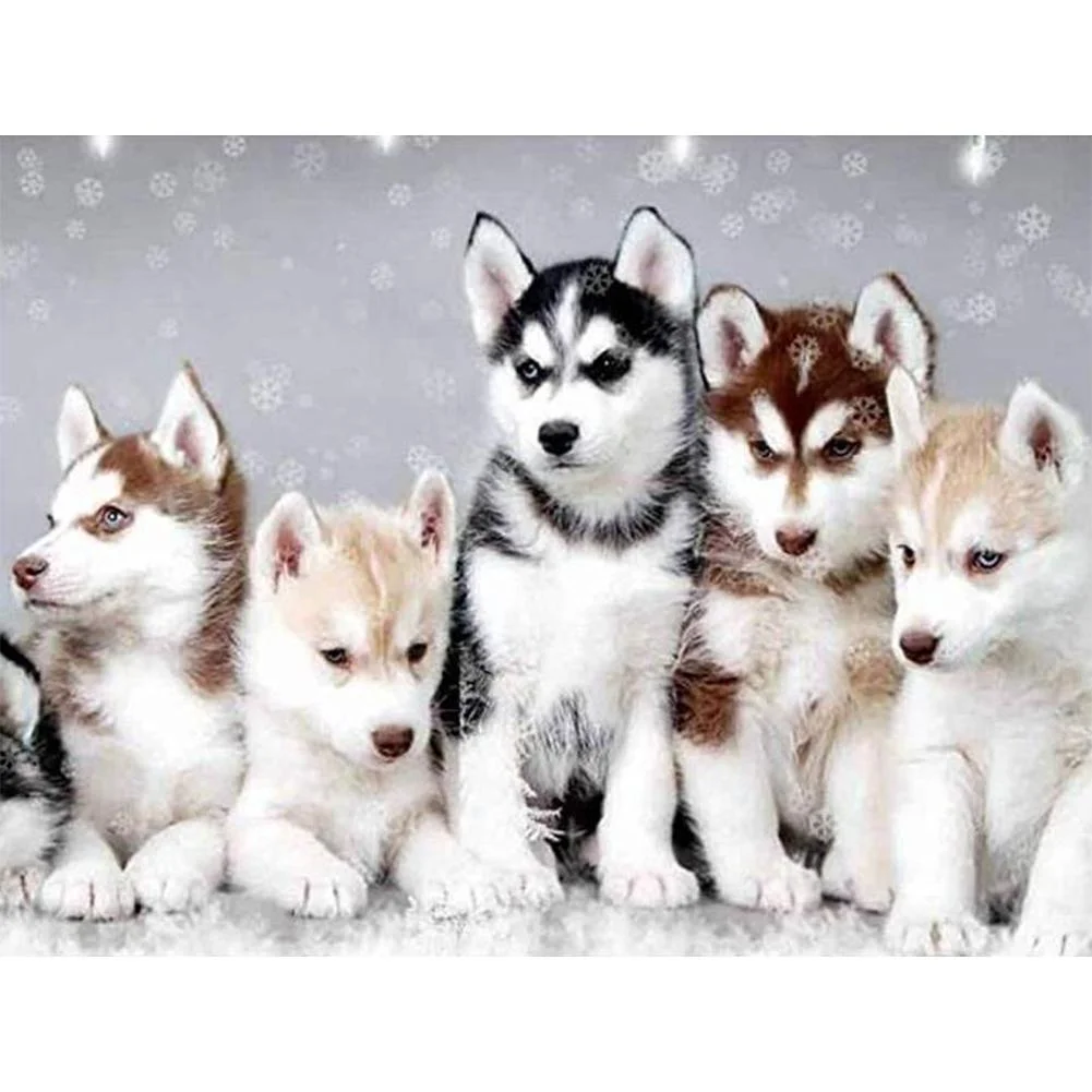 Full Round Diamond Painting Husky (40*30cm)