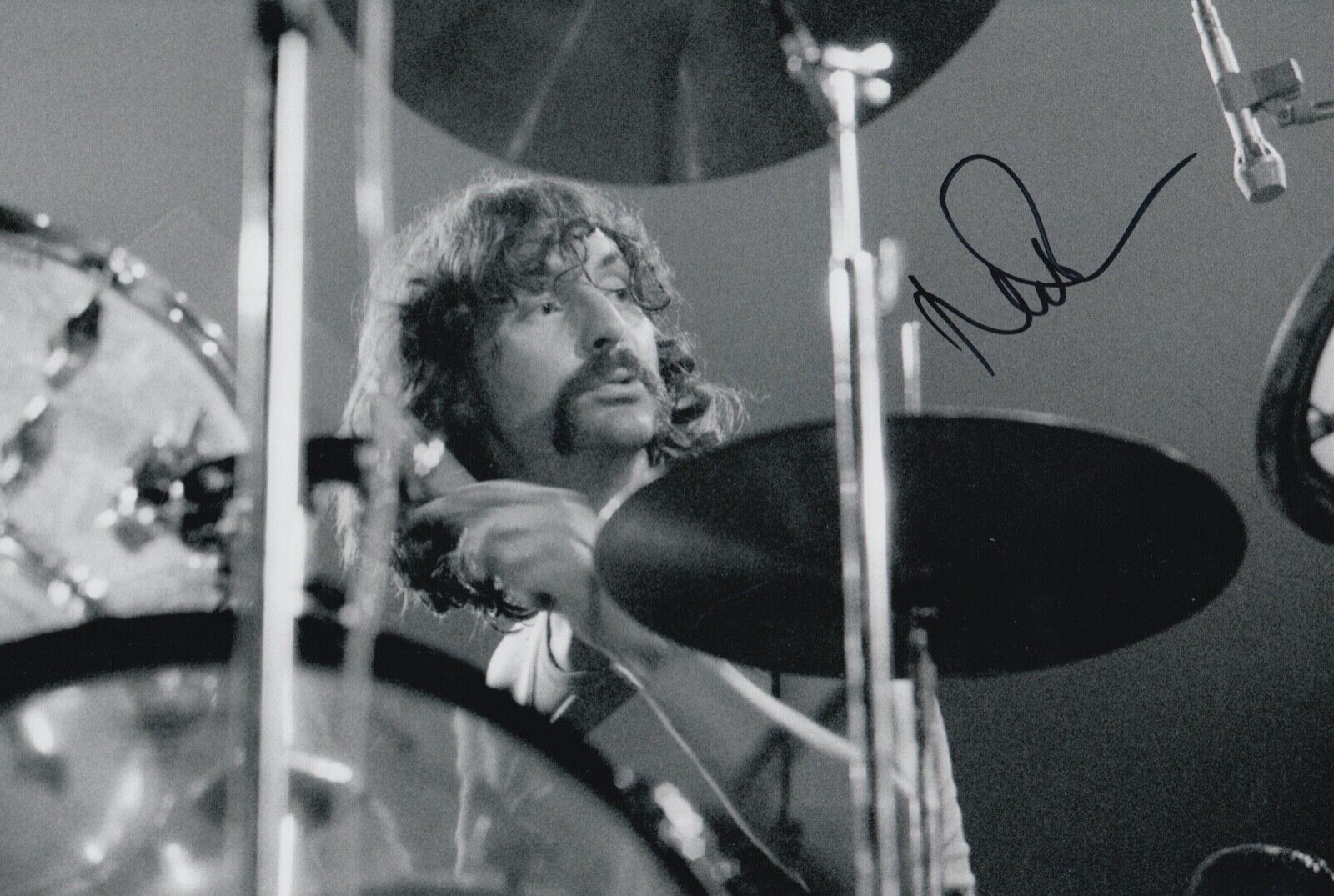 Nick Mason Hand Signed 12x8 Photo Poster painting - Music Autograph - Pink Floyd.