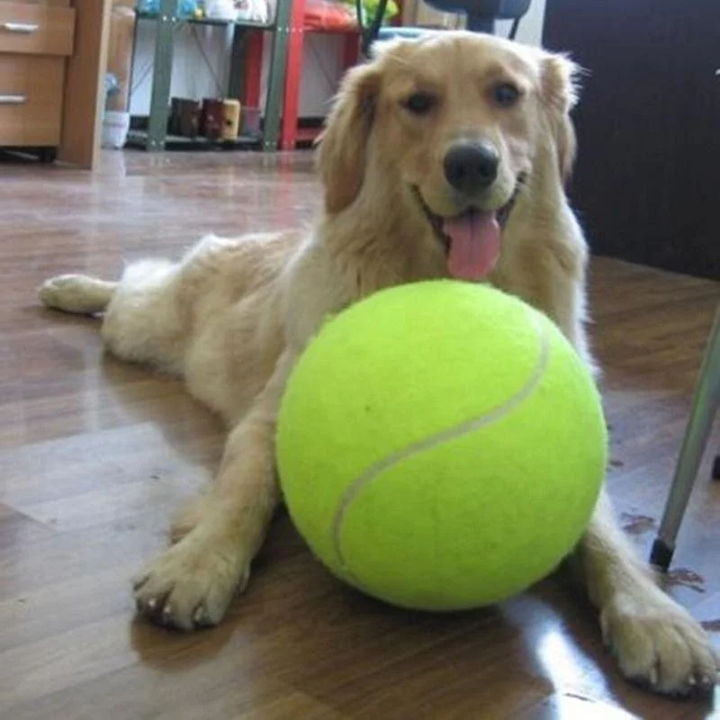 Hugoiio™ Massive Fantasy Dog Tennis Ball