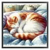 Sleeping Cat-11CT Counted Cross Stitch 40*40cm tapestrymarket