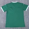 Joyfball 2025/2026 Palmeiras Home Jersey 1:1 Thai Quality