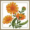 (Counted/Stamped) 14CT/11CT October - Cross Stitch 17*17cm/6.69*6.69in(Brand)