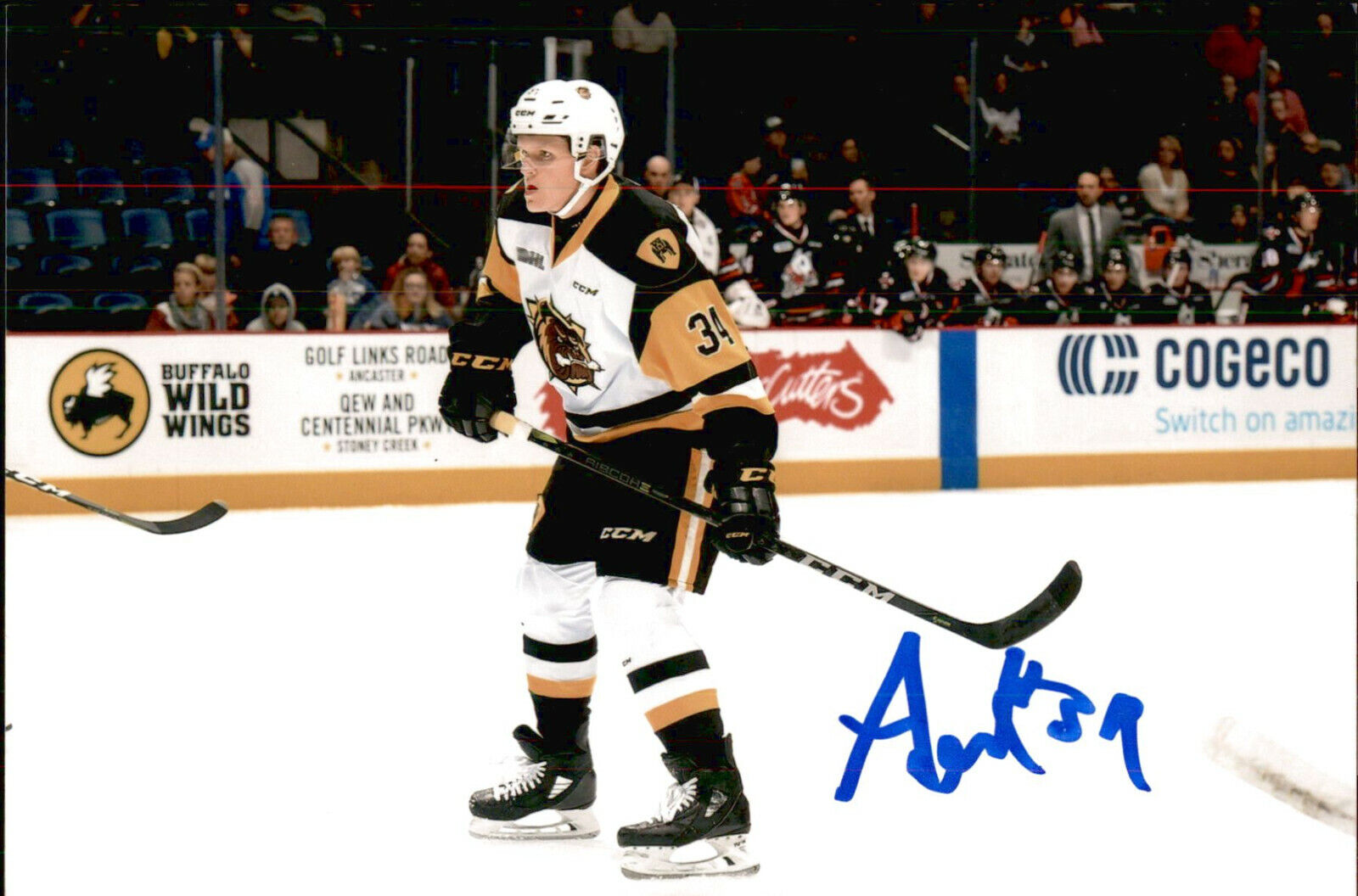 Arthur Kaliyev SIGNED 4x6 Photo Poster painting HAMILTON BULLDOGS / LOS ANGELES KINGS #2