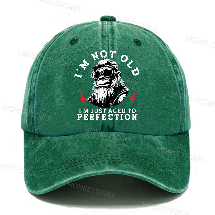 I'm Not Old I'm Just Aged To Perfection Washed Baseball Caps