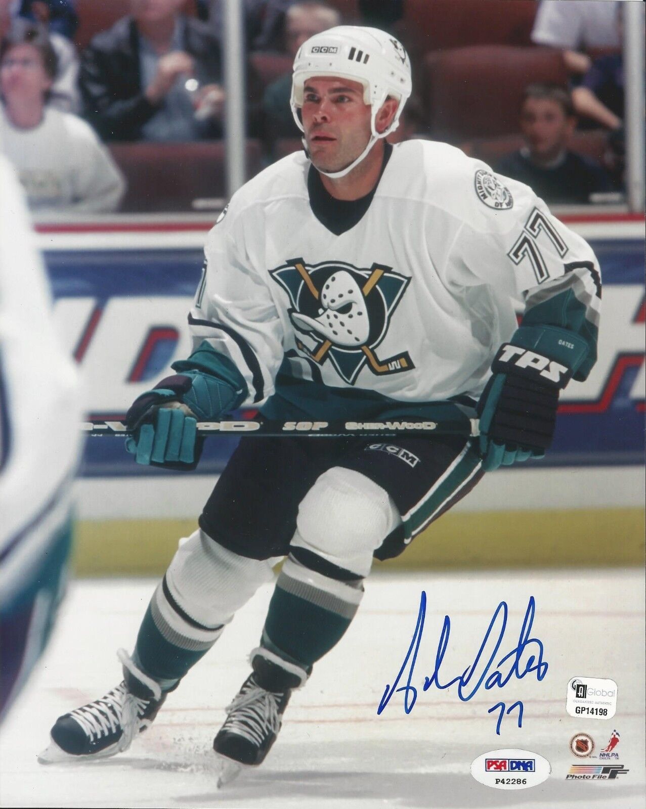 Adam Oates Anaheim Mighty Ducks signed 8x10 PSA/DNA # P42286