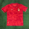 2024 Spain Special Edition Football Shirt 1:1 Thai Quality