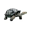 2024 Simulation turtle series Galapagos tortoise tortoise model