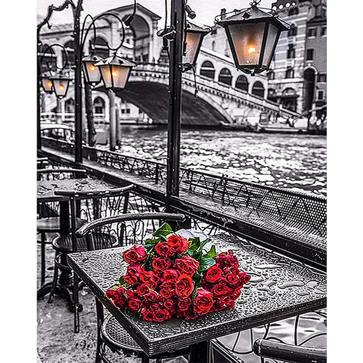 City Rose - Paint By Numbers(40*50cm)