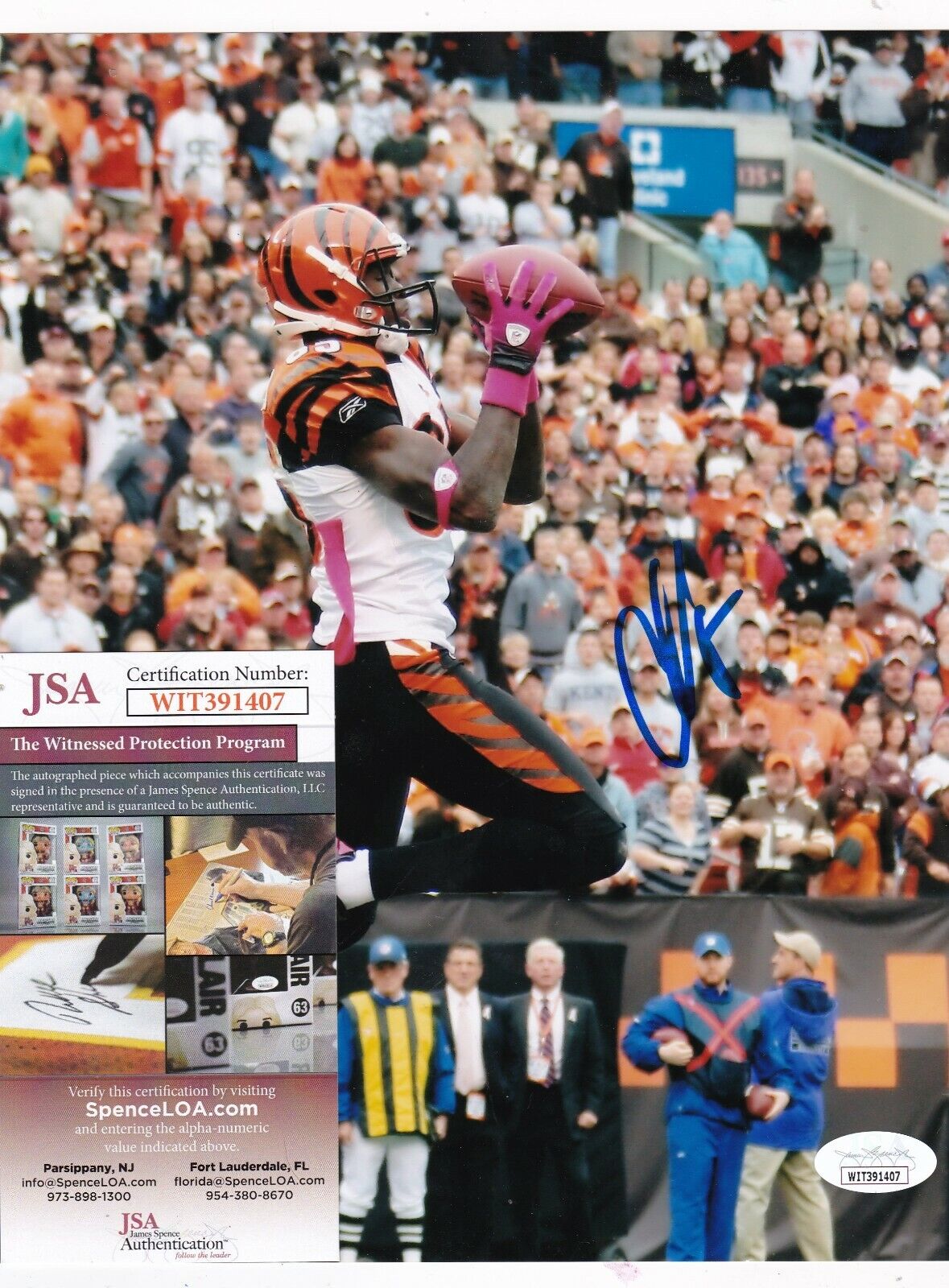 CHAD JOHNSON CINCINNATI BENGALS JSA AUTHENTICATED ACTION SIGNED 8X10