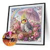 Perroquet-Peinture diamant en forme sp&eacute;ciale-30*30cm
