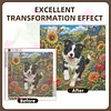 Diamond Painting -5D Full Round Drill Border Collie Puppy(40x40cm)