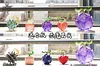 Mini Series Devil Fruits Set 008 - ONE PIECE Resin Statue - Demon Studios [In Stock]