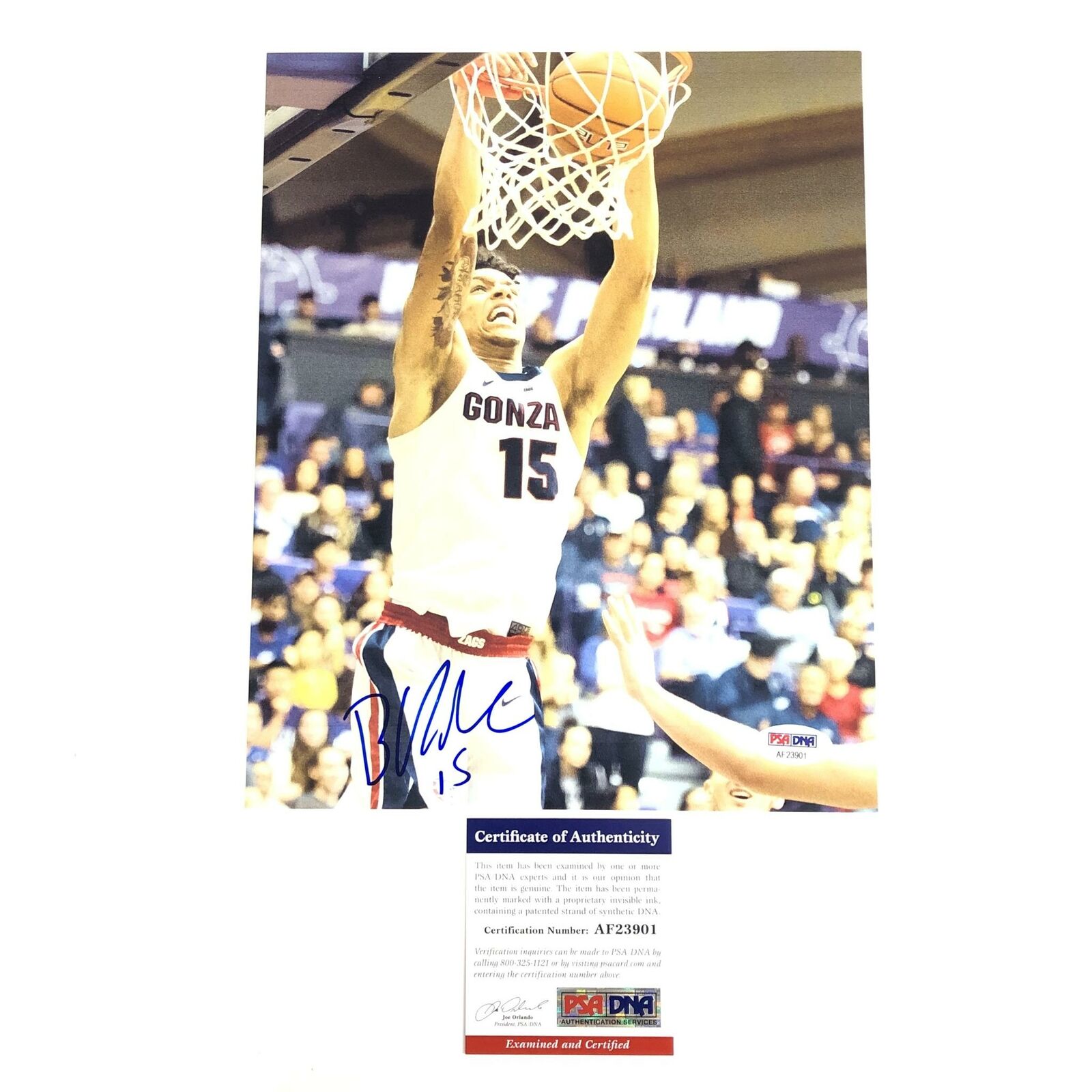 Brandon Clarke signed 8x10 Photo Poster painting PSA/DNA Gonzaga Bulldogs Autographed