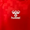 2024 Denmark Home Football Shirt 1:1 Thai Quality
