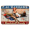 Airplane Girl - Vintage Metal Signs - 20*30cm/30*40cm