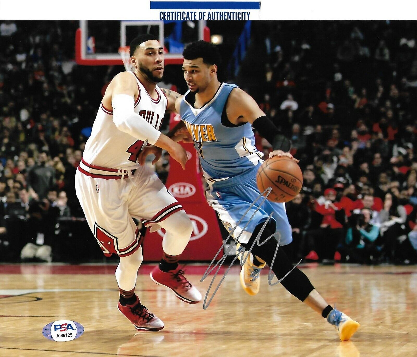 JAMAL MURRAY signed autographed DENVER NUGGETS 8X10 Photo Poster painting w/ COA PSA AI89125