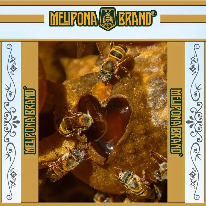 Melipona Honey, Stingless Bee Honey, Meliponini Honey, Miel Melipona, Original, Authentic, Natural, Sweet Flavor