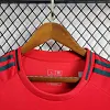 2024 Wales HomeFootball Shirt 1:1 Thai Quality