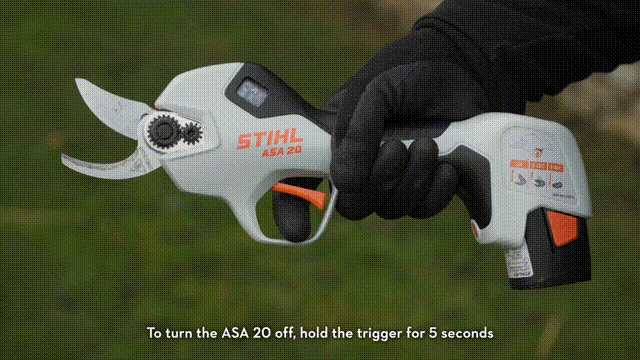 pic_010.gif