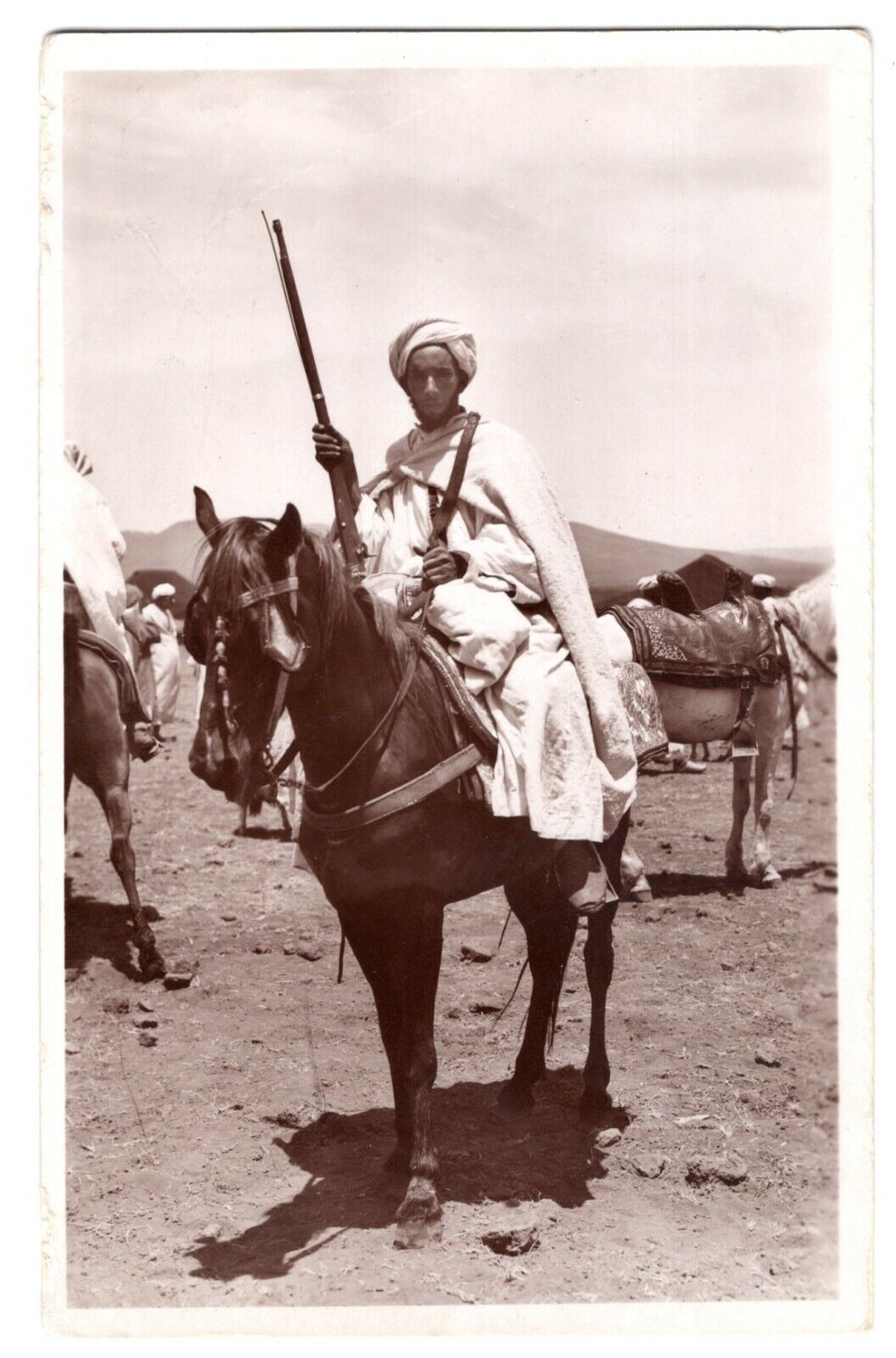 WWII Era French Algerian Cavalry Soldier on Horse Real Photo Poster painting RPPC Postcard