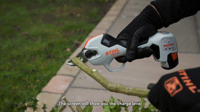 pic_013.gif