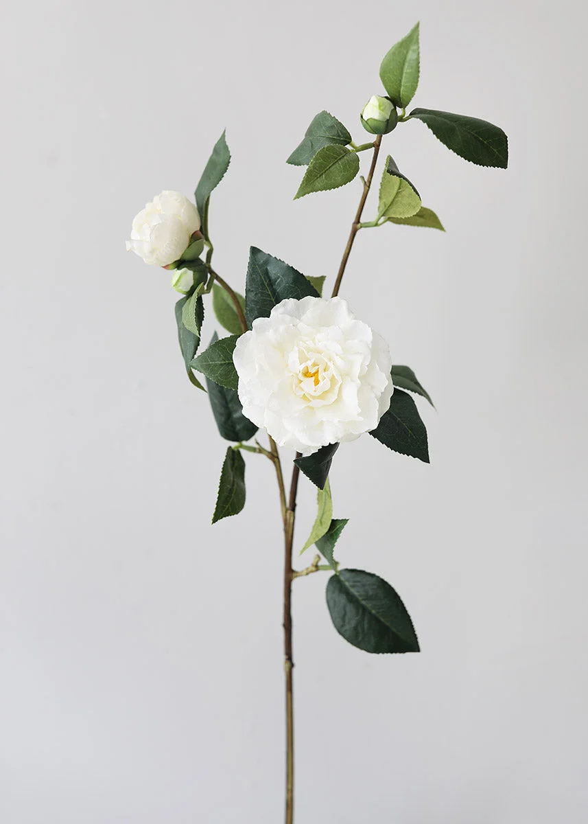 Real Touch Camellia Roses in Cream White - 35"