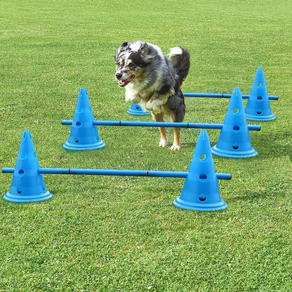 AgileParcour - Dog Agility Training Equipment