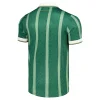 Aston Villa St. Patrick's Day  Soccer Jersey 2026/27
