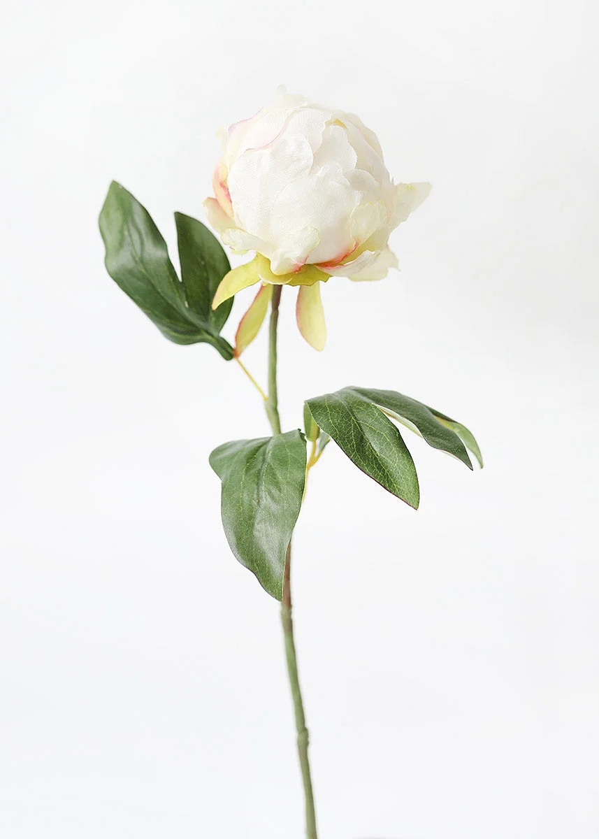 Artificial Flower Peony Bud in Cream - 18"