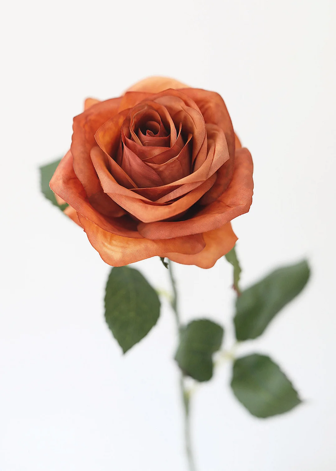 Fake Rose in Terracotta - 21.5"